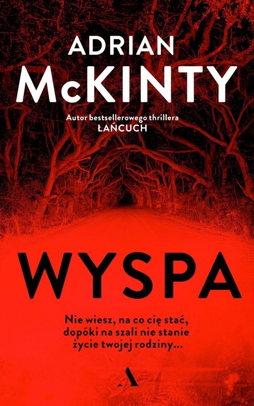 okładka Wyspa książka | Adrian McKinty