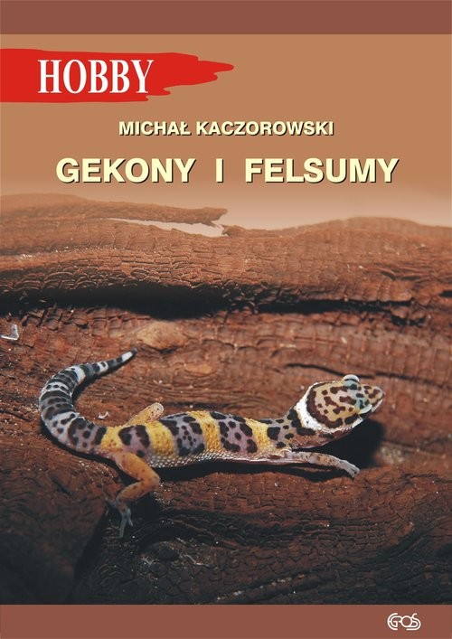okładka Gekony i felsumy książka | Michał Kaczorowski