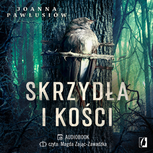 okładka Skrzydła i kości audiobook | MP3 | Joanna Pawłusiów