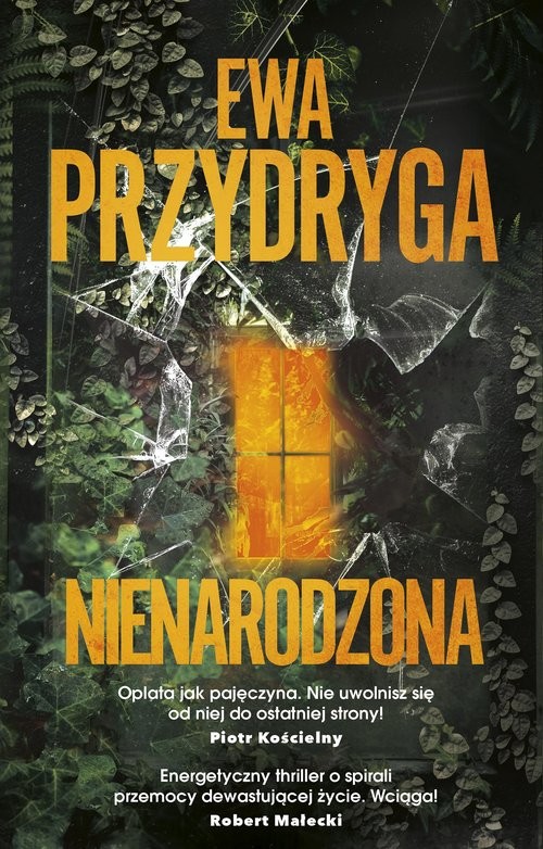 okładka Nienarodzona książka | Ewa Przydryga