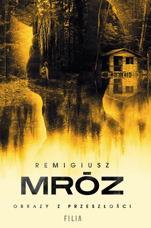 okładka Obrazy z przeszłości ebook | epub, mobi | Remigiusz Mróz