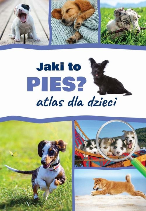 okładka Jaki to pies? Atlas dla dzieci książka | Anna Iglikowska