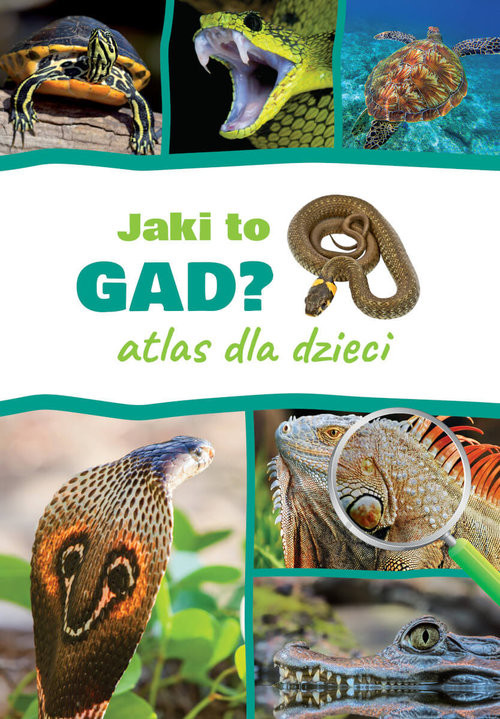 okładka Jaki to gad? Atlas dla dzieci książka | Jacek Twardowski