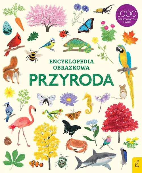 okładka Encyklopedia obrazkowa Przyroda książka