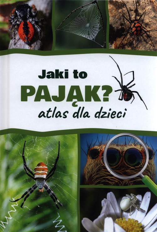 okładka Jaki to pająk? Atlas dla dzieci książka | Jacek Twardowski