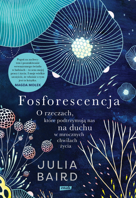 okładka Fosforescencja. O rzeczach, które podtrzymują nas na duchu w mrocznych chwilach życia ebook | epub, mobi | Julia Baird