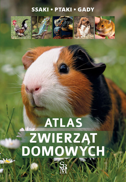 okładka Atlas zwierząt domowych książka | Uglorz Manfred