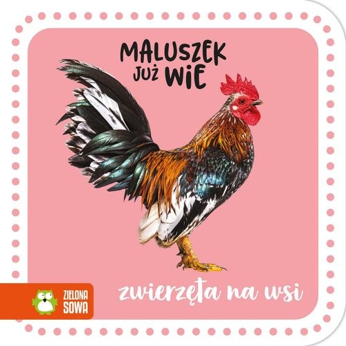 okładka Maluszek już wie Zwierzęta na wsi książka