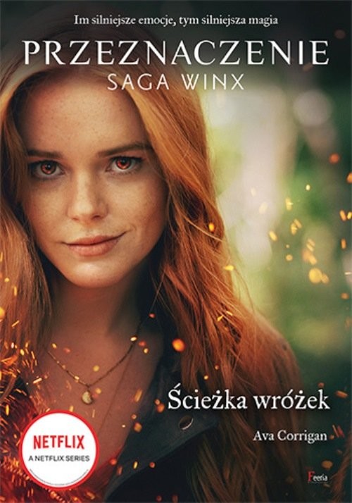 okładka Ścieżka wróżek książka | Ava Corrigan