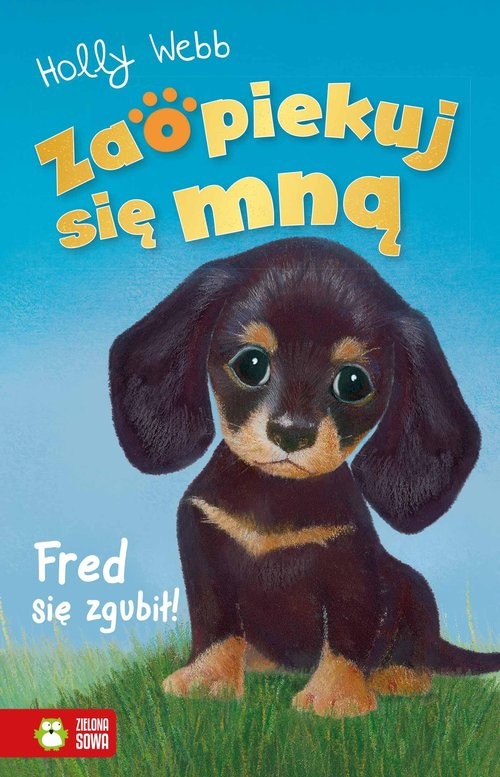 okładka Zaopiekuj się mną Fred się zgubił książka | Holly Webb