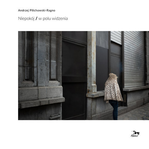 okładka Niepokój W polu widzenia / Pasaże książka | Andrzej Pilichowski-Ragno