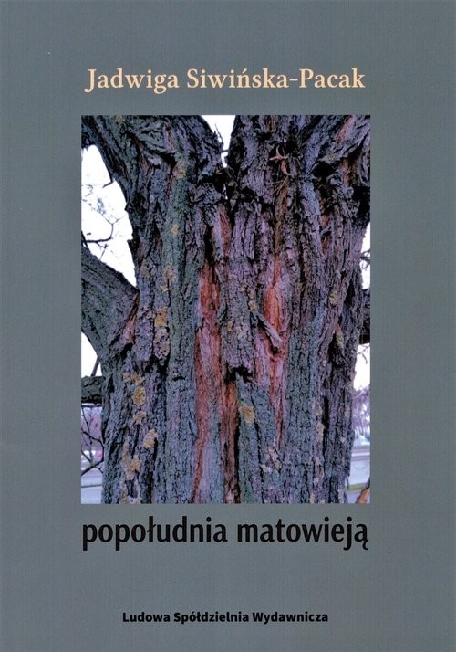 okładka Popołudnia matowieją książka | Jadwiga Siwińska-Pack