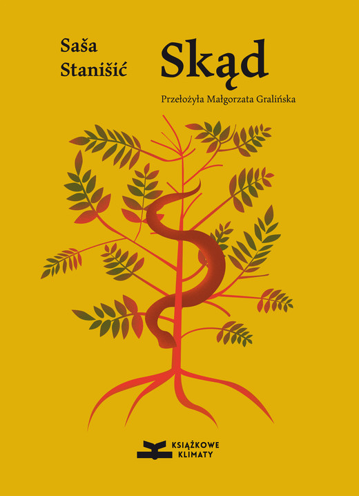 okładka Skąd ebook | epub, mobi | Saša Stanišić
