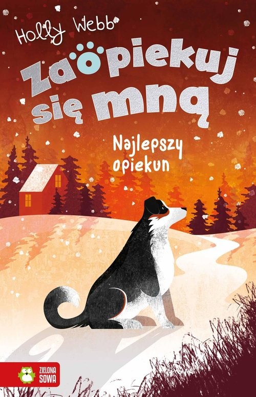 okładka Zaopiekuj się mną książka | Holly Webb