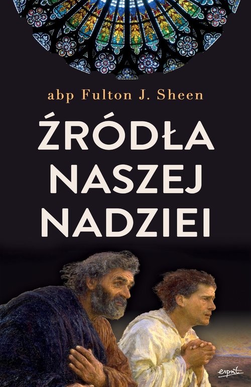 okładka Źródła naszej nadziei. Nieprzemijające słowa pociechy i ufności wyd. 2022 książka | Fulton J. Sheen
