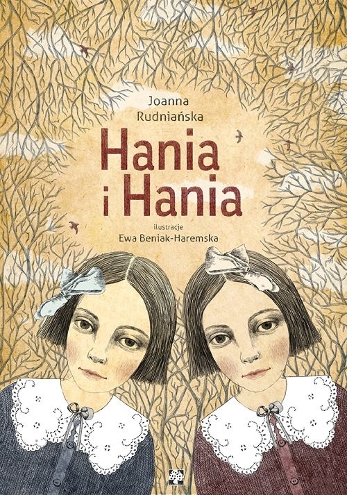okładka Hania i Hania książka | Joanna Rudniańska