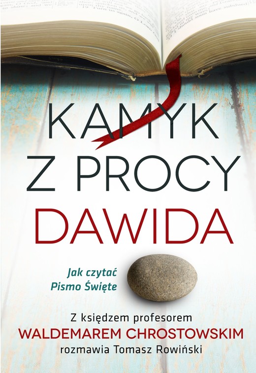 okładka Kamyk z procy Dawida. Jak czytać Pismo Święte ebook | epub, mobi | Tomasz Rowiński, ks. prof. Waldemar Chrostowski