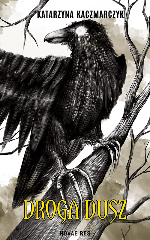 okładka Droga dusz ebook | epub, mobi | Katarzyna Kaczmarczyk