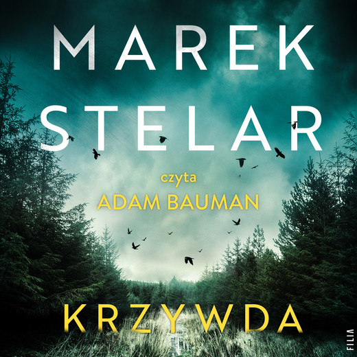 okładka Krzywda audiobook | MP3 | Marek Stelar