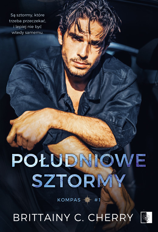 okładka Południowe sztormy ebook | epub, mobi | Brittainy C. Cherry