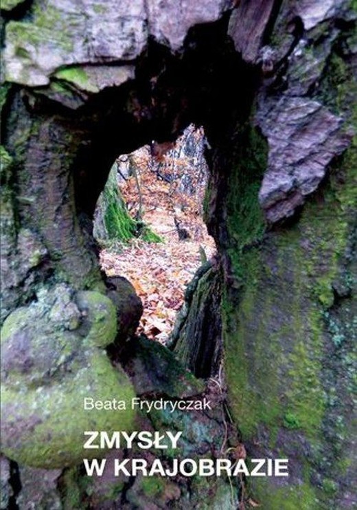 okładka Zmysły w krajobrazie ebook | epub, mobi | Beata Frydryczak