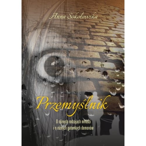 okładka Przemyślnik książka | Anna Sokołowska