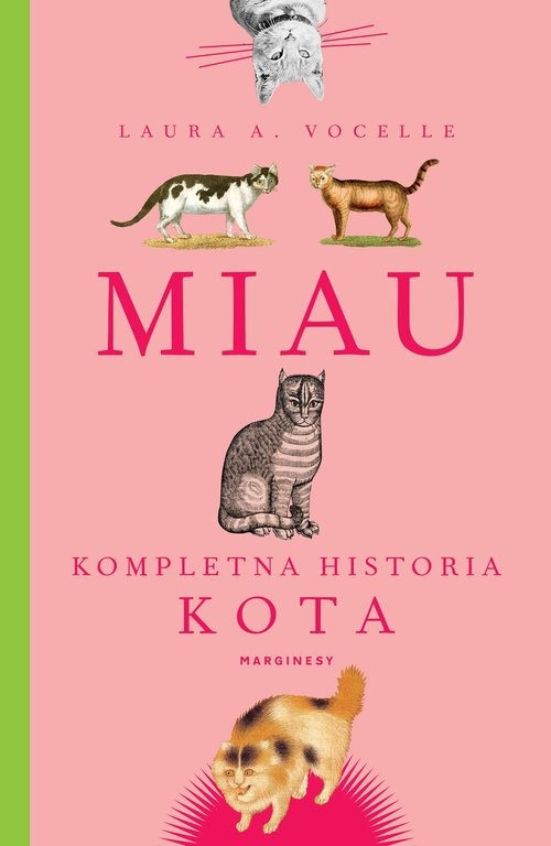 okładka Miau Kompletna historia kota książka | L.A. Vocelle