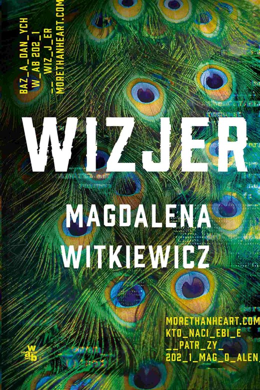 okładka Wizjer ebook | epub, mobi | Magdalena Witkiewicz
