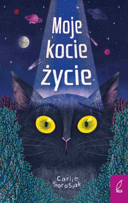 okładka Moje kocie życie ebook | epub, mobi | Carlie Sorosiak