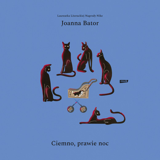 okładka Ciemno, prawie noc audiobook | MP3 | Joanna Bator