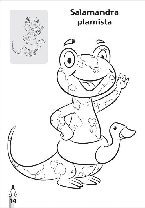 okładka Tatrzańskie zwierzaki kolorowanka 2 sztuki książka