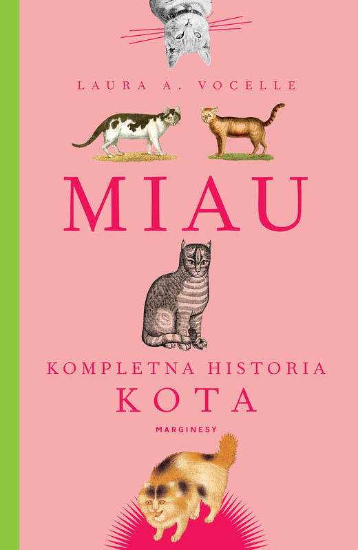 okładka Miau ebook | epub, mobi | Laura Vocelle