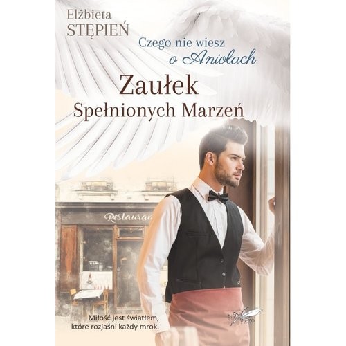 okładka Zaułek Spełnionych Marzeń Czego nie wiesz o Aniołach książka | Elżbieta Stępień
