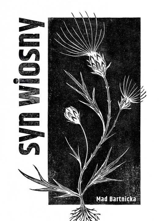 okładka Syn wiosny ebook | epub, mobi | Mad Bartnicka