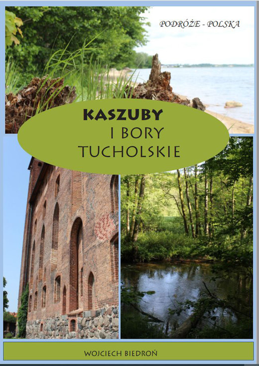 okładka Kaszuby i Bory Tucholskie ebook | epub, mobi | Wojciech Biedroń