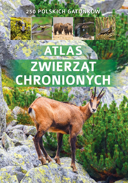 okładka ATLAS ZWIERZĄT CHRONIONYCH TW książka | Jacek Twardowski