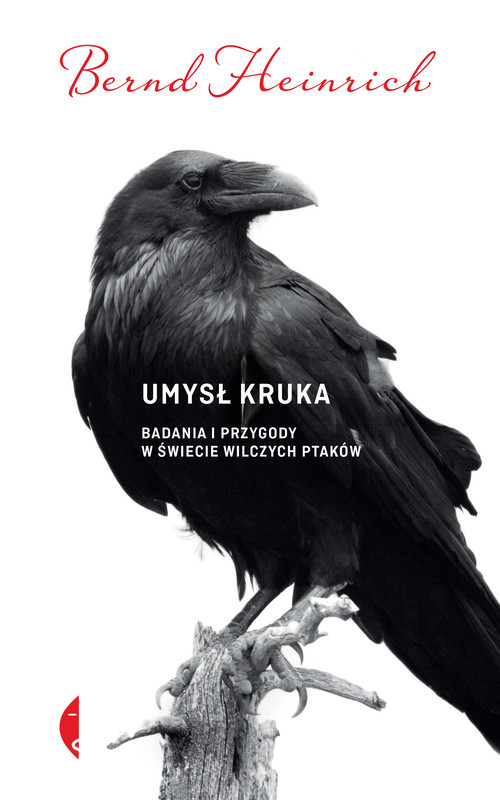 okładka Umysł kruka ebook | epub, mobi | Bernd Heinrich