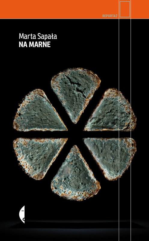 okładka Na marne ebook | epub, mobi | Marta Sapała