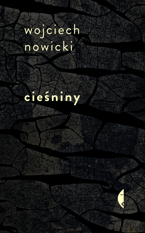 okładka Cieśniny ebook | epub, mobi | Wojciech Nowicki