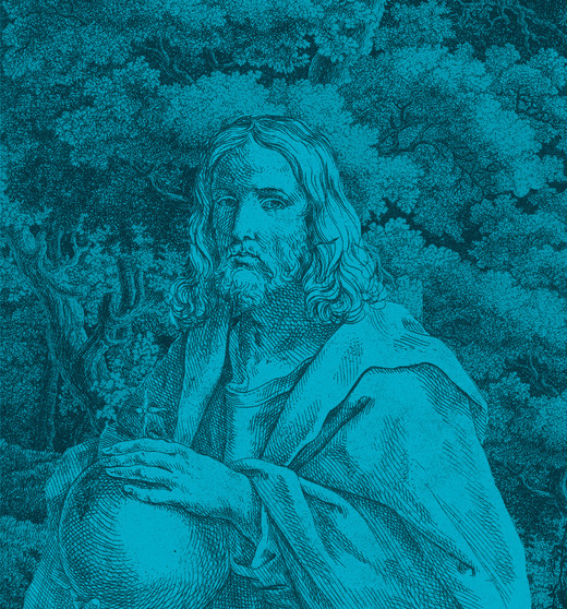 okładka Ewangelia według św. Mateusza ebook | epub, mobi | Edward Sri, Curtis Mitch