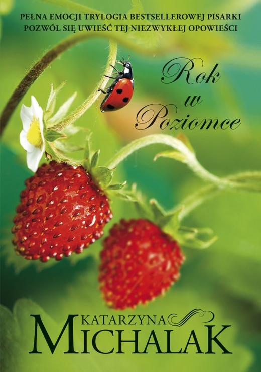 okładka Rok w poziomce (wyd. 2023)
 książka | Katarzyna Michalak