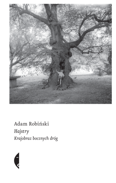 okładka Hajstry. Krajobraz bocznych dróg książka | Adam Robiński