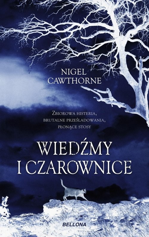 okładka Wiedźmy i czarownice książka | Nigel Cawthorne