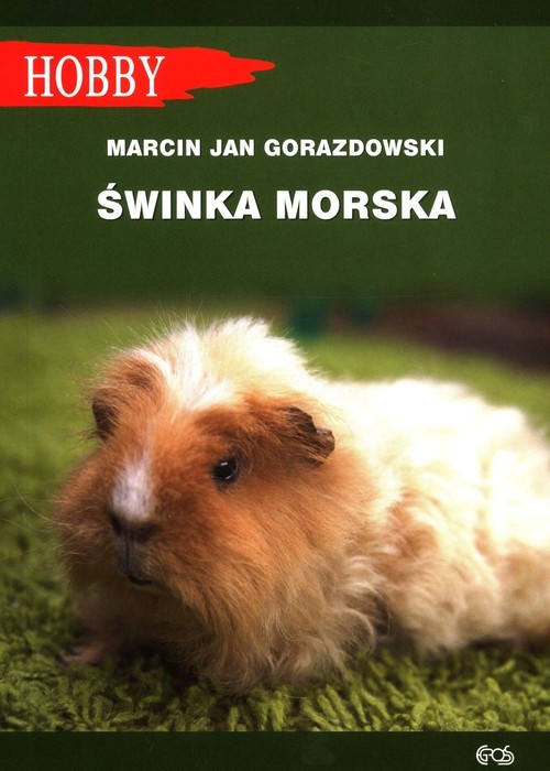 okładka Świnka morska książka | Gorazdowski MarcinJan