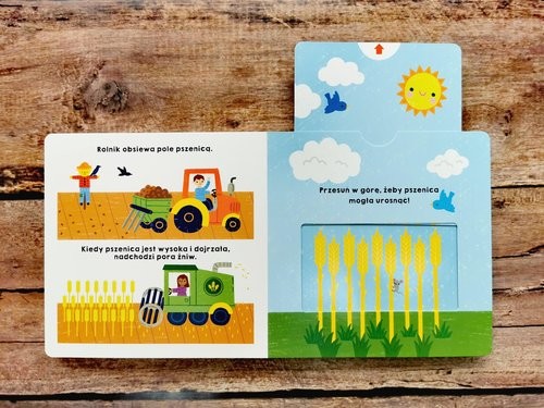 okładka Spójrz, jak rosnę! Akademia mądrego dziecka Mój świat książka | Priddy Roger