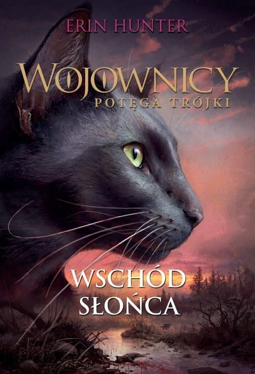 okładka Wschód słońca Wojownicy. Potęga trójki Tom 6 książka | Erin Hunter