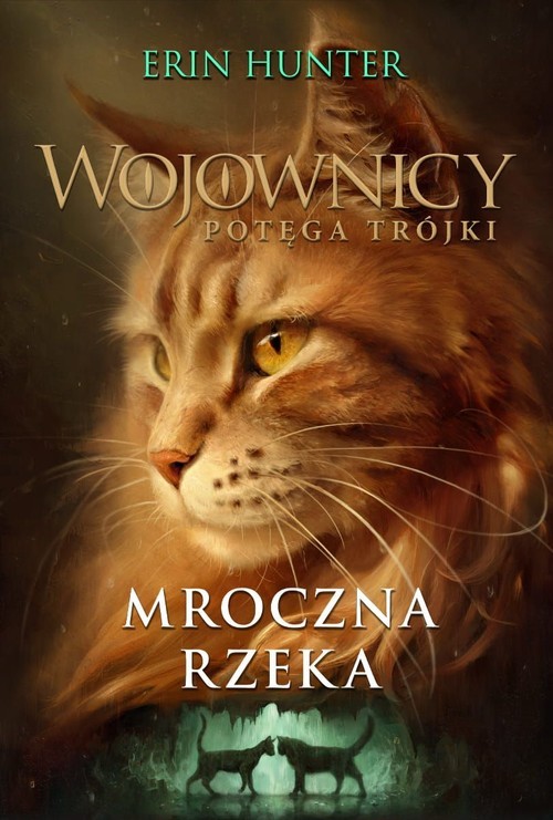 okładka Wojownicy Potęga Trójki Tom 2 Mroczna rzeka książka | Erin Hunter