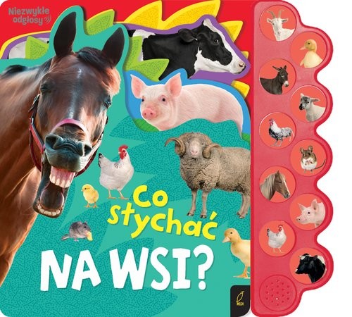 okładka Co słychać na wsi? książka