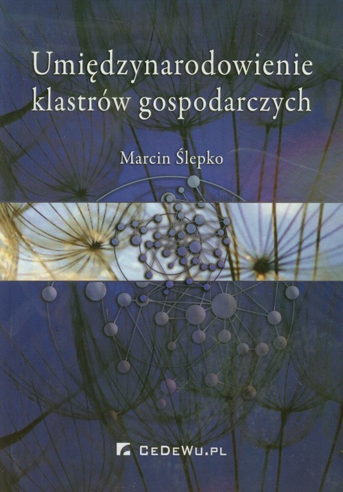okładka Umiędzynarodowienie klastrów gospodarczych książka | Marcin Ślepko