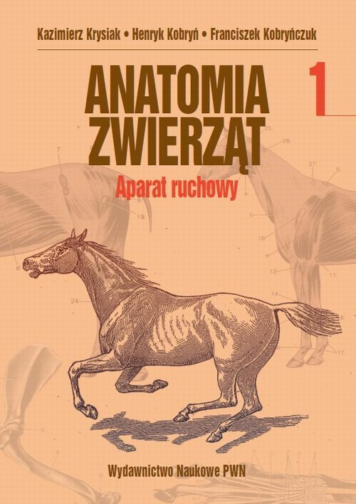 okładka Anatomia zwierząt, t. 1 ebook | pdf | Kazimierz Krysiak, Henryk Kobryń, Franciszek Kobryńczuk